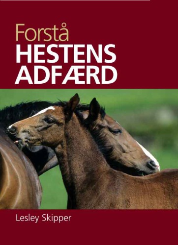 ﻿رفتار اسب را درک کنید