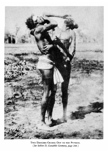 ﻿تمدن سیاهان: مطالعه اجتماعی یک قبیله استرالیایی