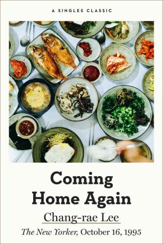 ﻿بازگشت به خانه دوباره