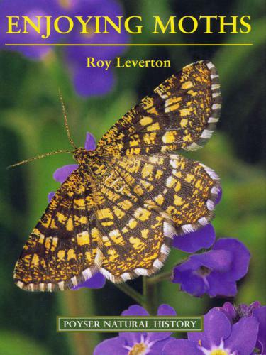 ﻿لذت بردن از پروانه