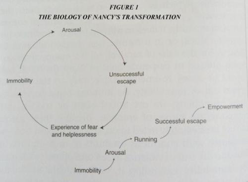 ﻿بیدار کردن ببر: التیام تروما از طریق بدن