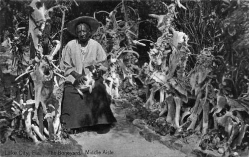 ﻿فرهنگ کرکس 101: کتابی برای افرادی که چیزهای مرده را دوست دارند