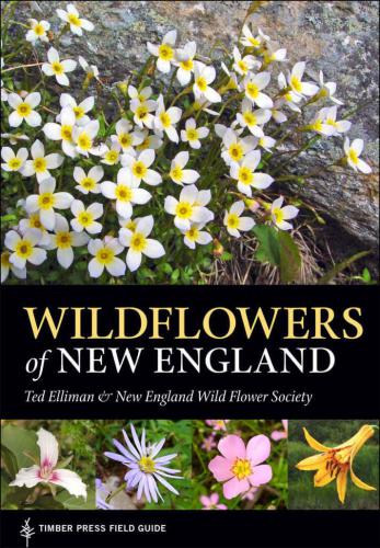 ﻿Wildflowers of New England: Timber Press Field Guide