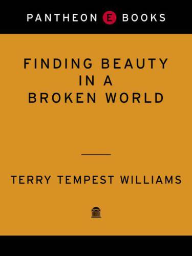 ﻿یافتن زیبایی در دنیای شکسته