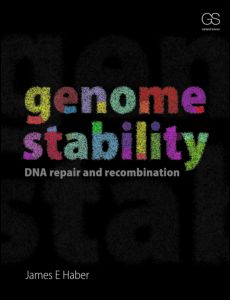 ﻿پایداری ژنوم - ترمیم و نوترکیب DNA