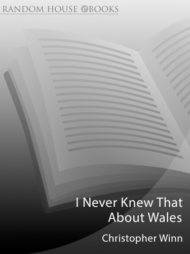 ﻿من هرگز این را در مورد ولز نمی دانستم