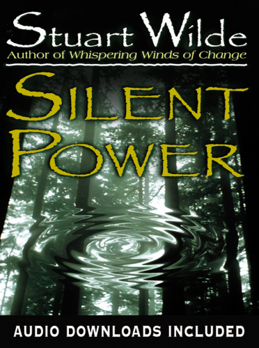 ﻿قدرت خاموش