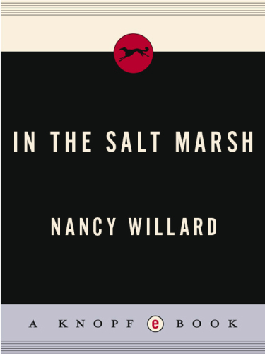 ﻿در باتلاق نمک