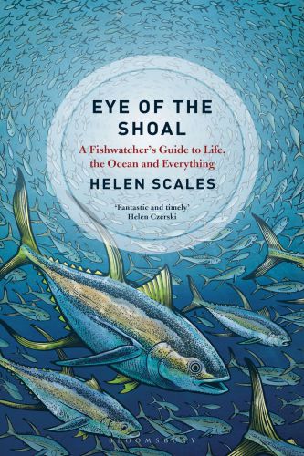 ﻿EYE OF THE SHOAL: راهنمای یک تماشاگر ماهی برای زندگی، اقیانوس ها و همه چیز