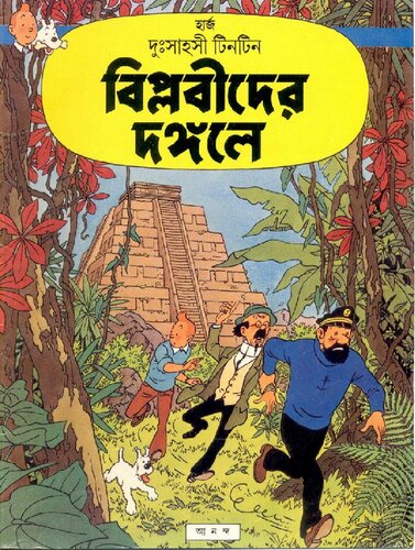 ﻿تن تن و پیکاروها