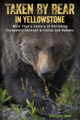 ﻿توسط Bear in Yellowstone گرفته شده است