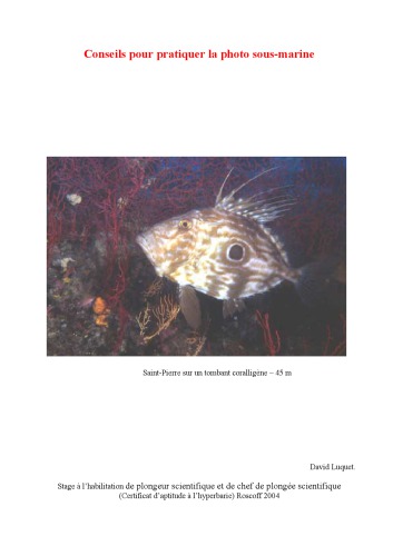 ﻿Beaux livres: la vie sous la glace