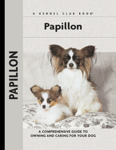 ﻿Papillons: راهنمای جامع مالکیت و مراقبت از سگ شما