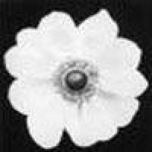 ﻿هنوز ذهن: مقدمه ای بر مدیتیشن