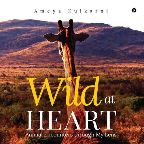 ﻿Wild at Heart: Animal Encounters from My Lens