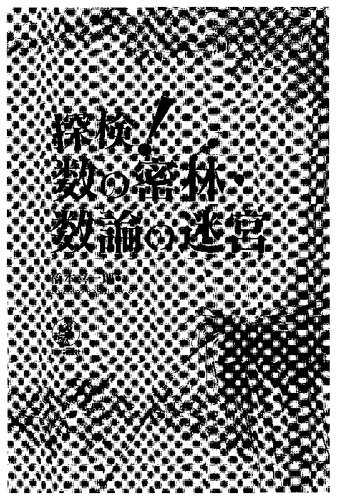 ﻿اعزام! جنگل انبوه اعداد/ هزارتوی نظریه اعداد