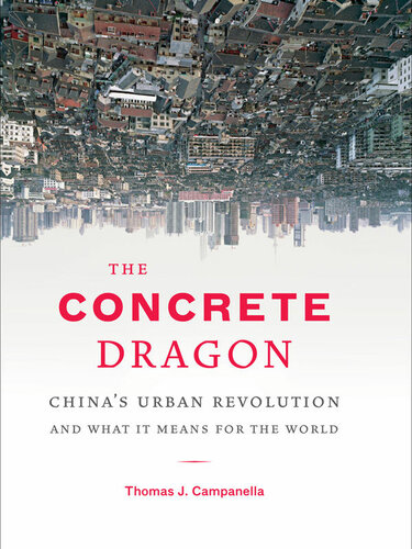 ﻿اژدهای بتنی