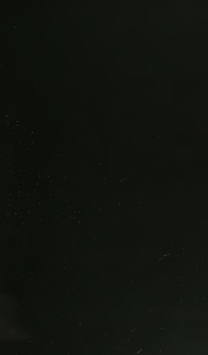 ﻿نژاد و جنایت