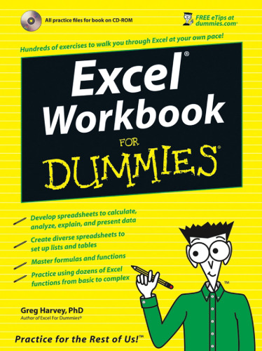 ﻿کتاب کار Excel برای Dummies