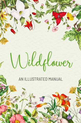 ﻿Wildflower: Manual Illustrated Manual: ایده های کادو برای تعطیلات