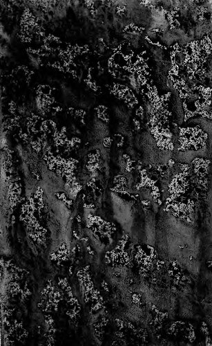 ﻿هنر و واقعیت