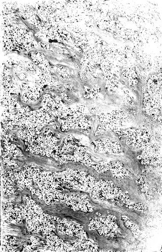 ﻿تاریخ اسپانیایی های هترودوکس