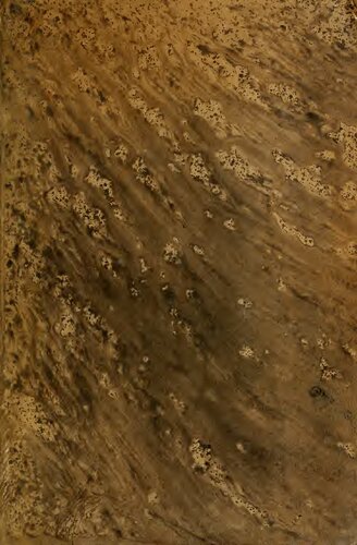 ﻿واژگان کریول-اسپانیایی آمریکای جنوبی