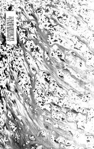 ﻿کتابشناسی کلاسیک اسپانیایی- لاتین: کدها، نسخه ها، تفسیرها، ترجمه ها، مطالعات انتقادی، تقلیدها و خاطرات، تأثیر هر یک از آثار کلاسیک لاتین در ادبیات اسپانیایی