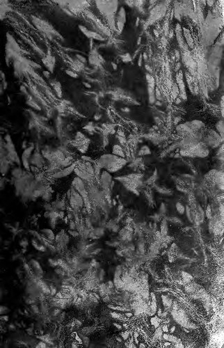 ﻿کارهای کامل