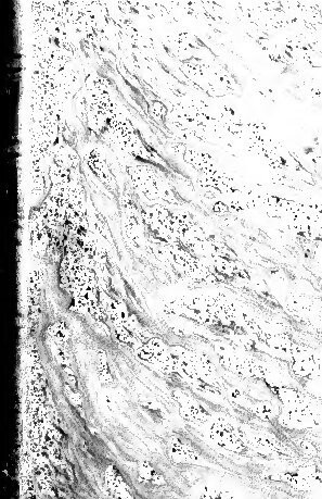 ﻿مطالعات نقد ادبی