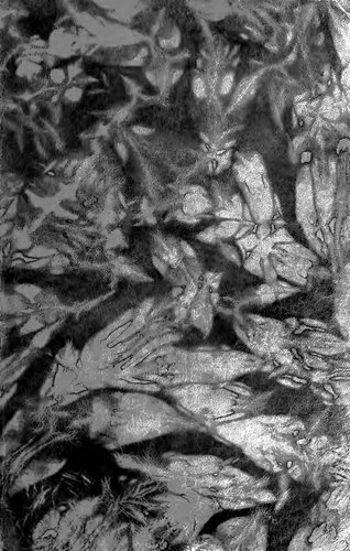 ﻿کارهای کامل