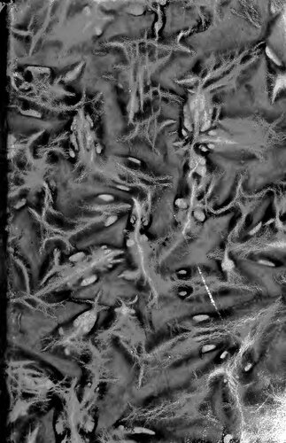 ﻿کارهای کامل