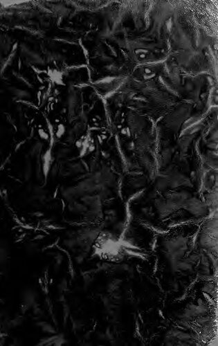 ﻿کارهای کامل