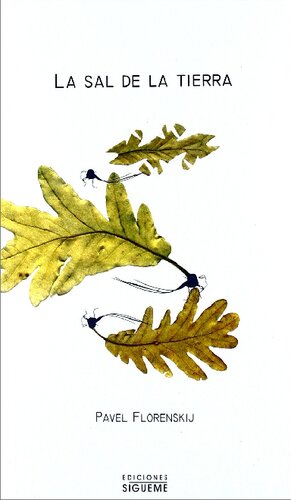 ﻿نمک زمین: داستان زندگی هیرومونک 