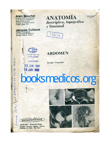 ﻿توصیفی توپوگرافی و آناتومی عملکردی