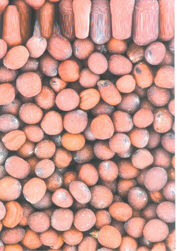 ﻿现代主义烹调: 烹调艺术与科学