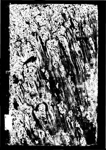 ﻿تاریخ واقعی تفتیش عقاید