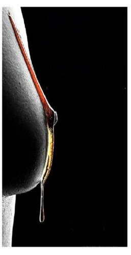 ﻿دفتر خاطرات راشل