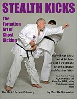 ﻿Stealth Kicks Art Forgotten of Ghost Kicking