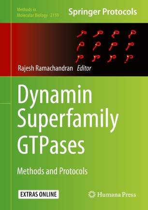 ﻿Dynamin Superfamily GTPases: Methods and Protocols
