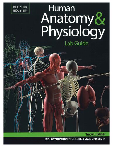 ﻿راهنمای آزمایشگاه آناتومی و فیزیولوژی انسانی