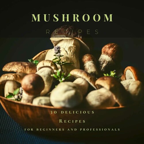 ﻿دستور پخت قارچ: 30 دستور غذای خوشمزه برای مبتدیان و حرفه ای ها