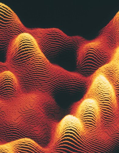 ﻿زیست شناسی نلسون 11