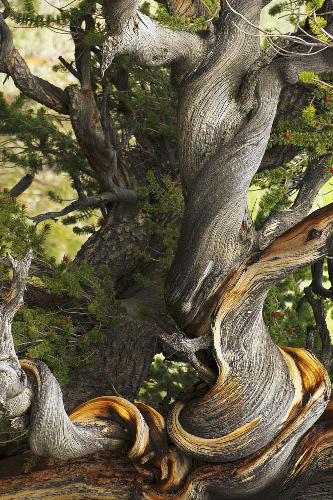 ﻿کتاب راهنمای گردش کار عکاسی دیجیتال با استفاده از فتوشاپ CS و مبدل‌های خام برای گردش کار عکاسی دیجیتال