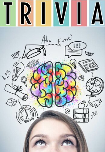 ﻿سوالات و پاسخ های بی اهمیت