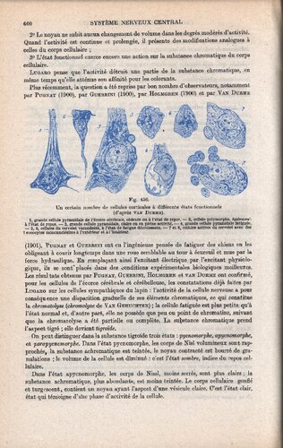 ﻿رساله در آناتومی انسان (قسمت دوم)