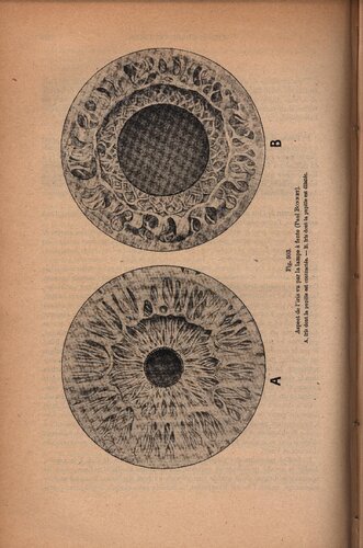 ﻿رساله در آناتومی انسان (قسمت دوم)