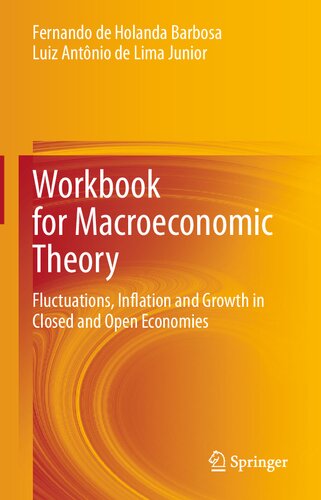 ﻿کتاب کار نظریه اقتصاد کلان: نوسانات، تورم و رشد در اقتصادهای بسته و باز