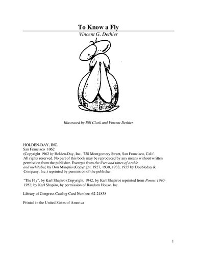 ﻿برای شناختن یک مگس