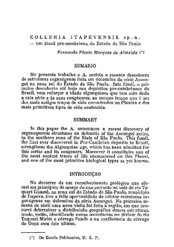 ﻿Collenia Itapevensis sp. خیر